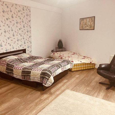 Edit House Apartment Târgu-Mureş エクステリア 写真