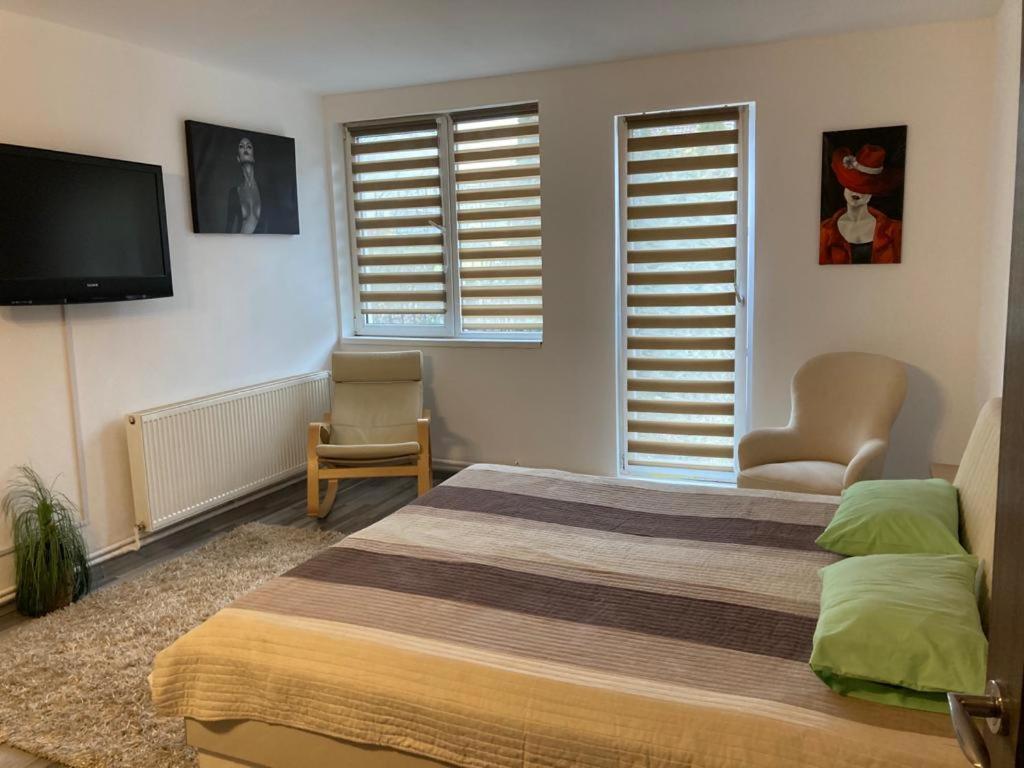 Edit House Apartment Târgu-Mureş エクステリア 写真