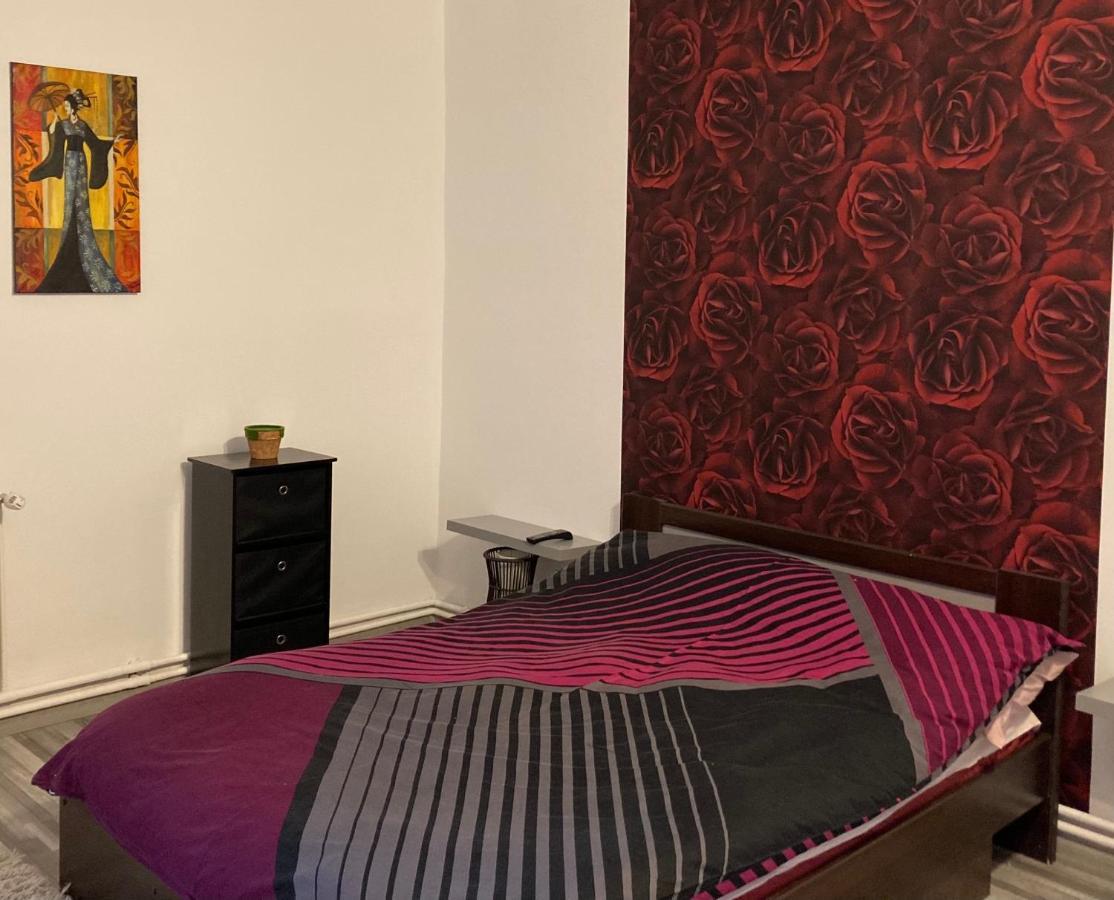 Edit House Apartment Târgu-Mureş エクステリア 写真