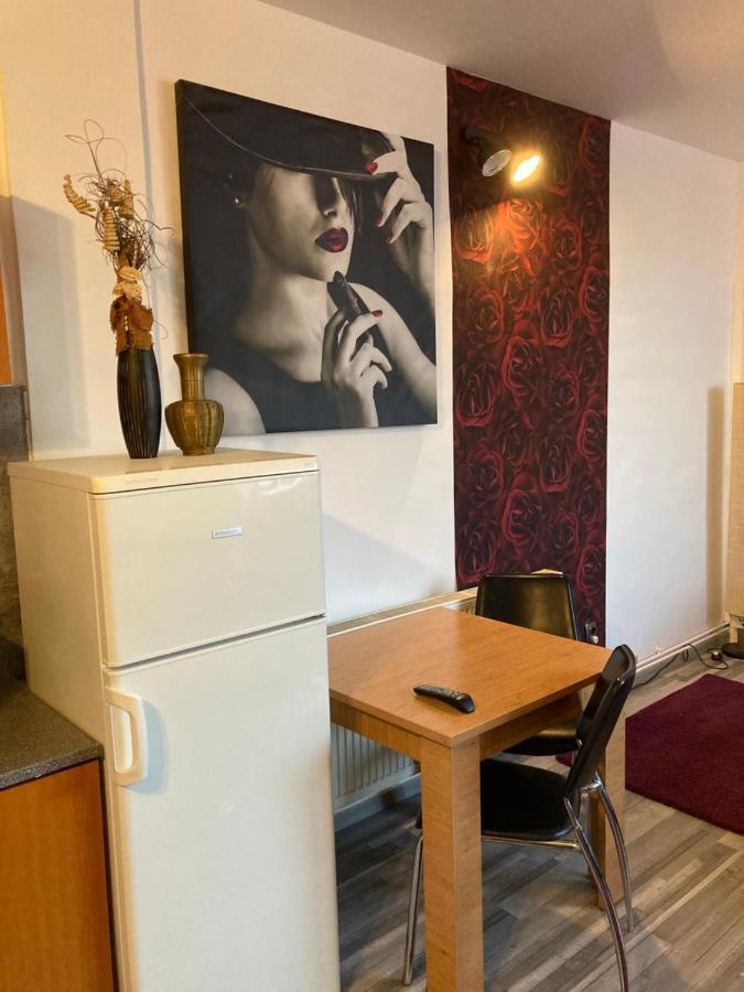 Edit House Apartment Târgu-Mureş エクステリア 写真