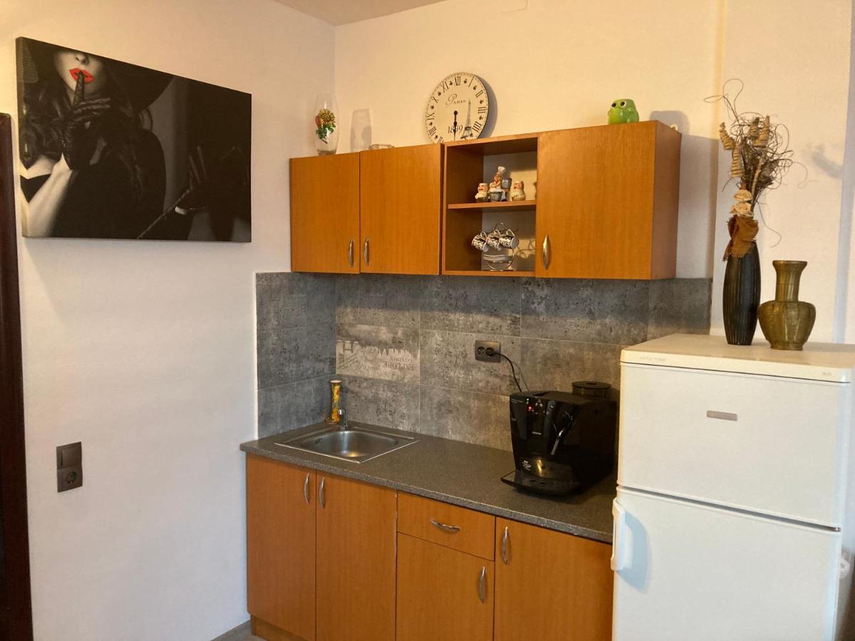 Edit House Apartment Târgu-Mureş エクステリア 写真