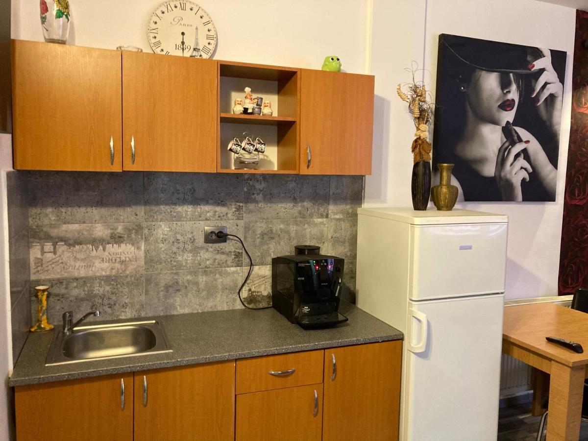 Edit House Apartment Târgu-Mureş エクステリア 写真