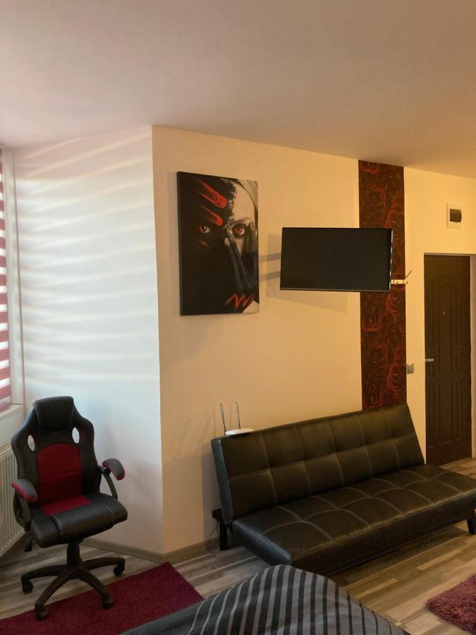 Edit House Apartment Târgu-Mureş エクステリア 写真