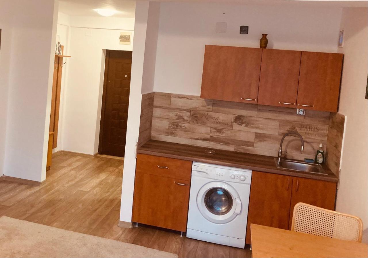 Edit House Apartment Târgu-Mureş エクステリア 写真