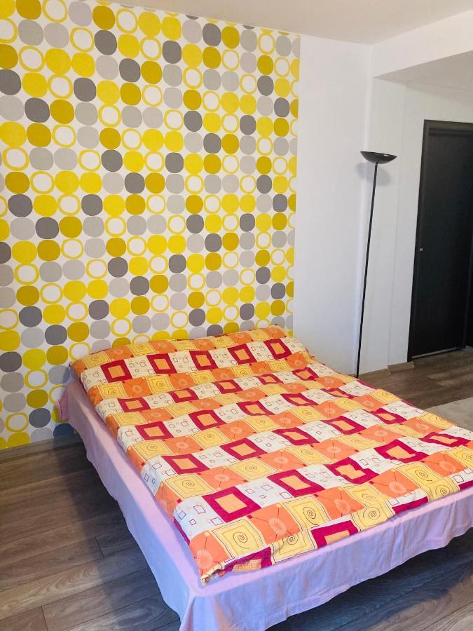 Edit House Apartment Târgu-Mureş エクステリア 写真
