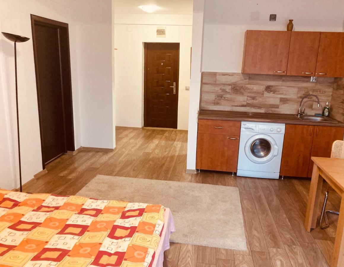 Edit House Apartment Târgu-Mureş エクステリア 写真