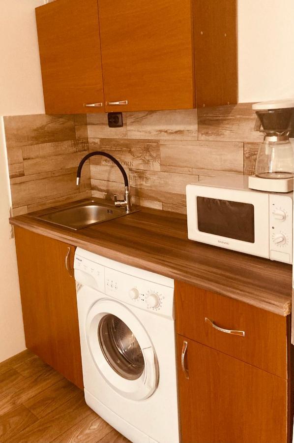 Edit House Apartment Târgu-Mureş エクステリア 写真