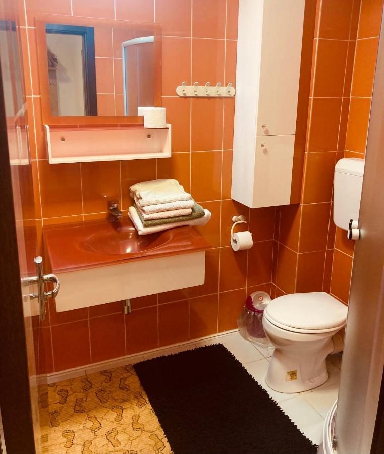 Edit House Apartment Târgu-Mureş エクステリア 写真