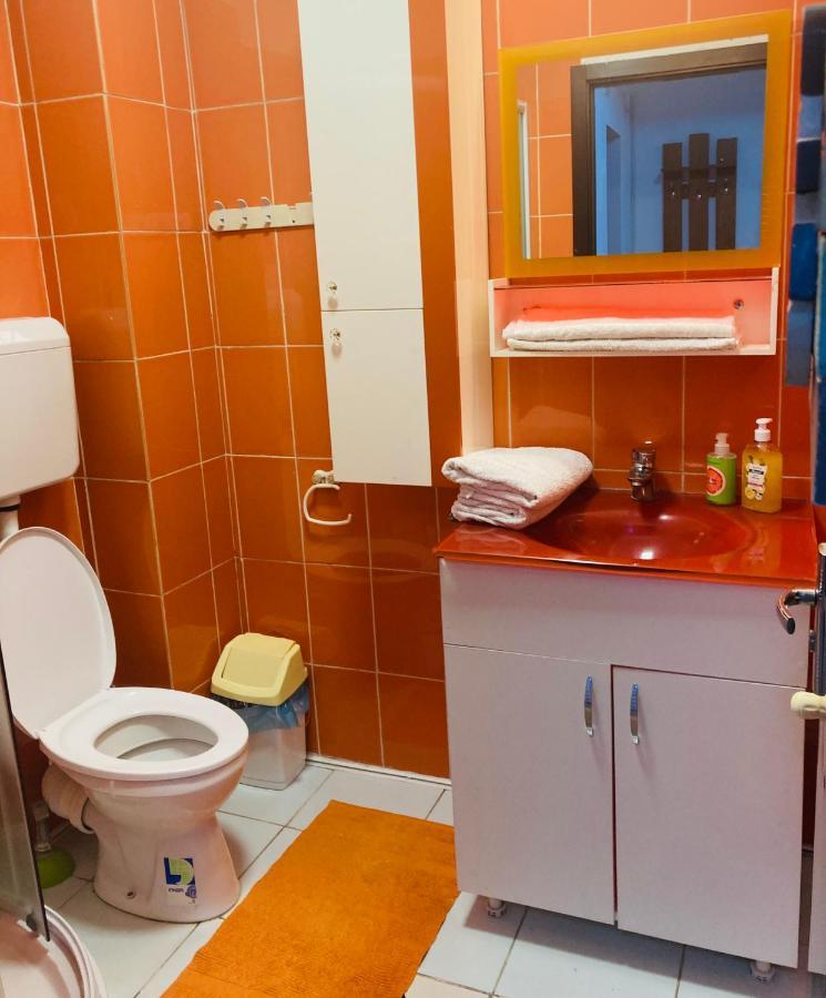 Edit House Apartment Târgu-Mureş エクステリア 写真